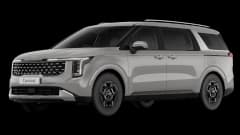 <p>Carnival S Petrol Image